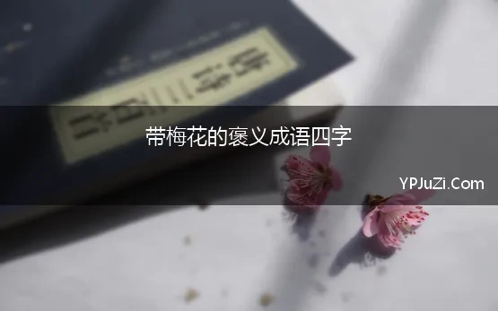 带梅花的褒义成语四字