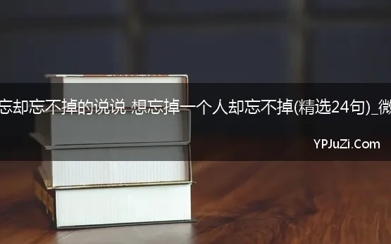 关于想忘却忘不掉的说说 想忘掉一个人却忘不掉(精选24