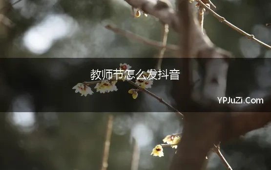 教师节怎么发抖音