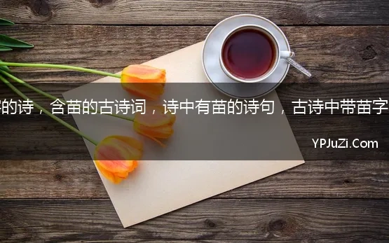 苗字的古诗