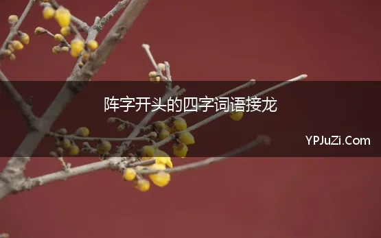 阵字开头的四字词语接龙