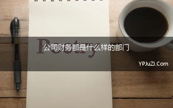 公司财务部是什么样的部门