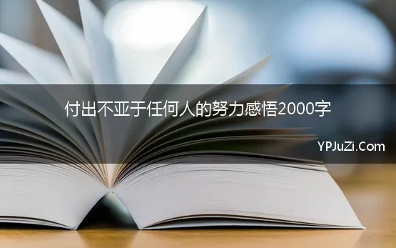 付出不亚于任何人的努力感悟2000字