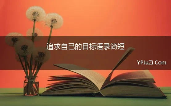 追求自己的目标语录简短(简短的有内涵的语录59条)