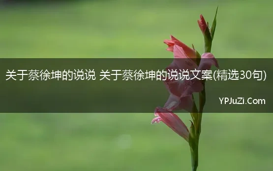 关于蔡徐坤的说说