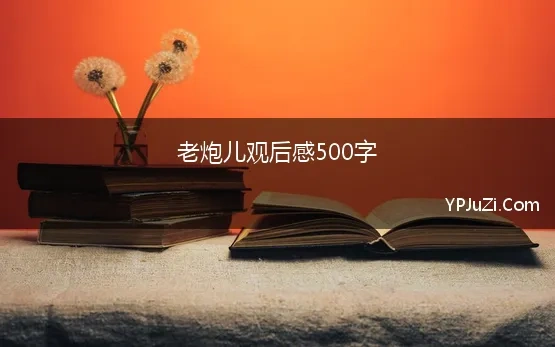 老炮儿观后感500字