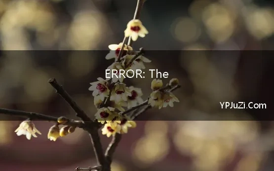 ERROR: The