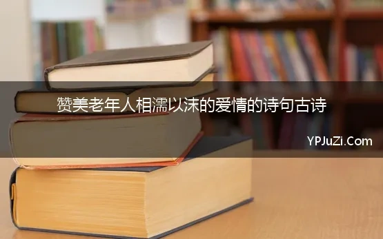 赞美老年人相濡以沫的爱情的诗句古诗 形容老人爱情的