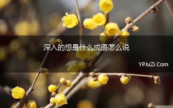 深入的想是什么成语怎么说