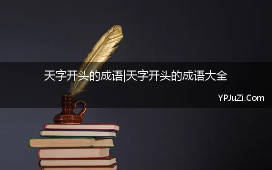 用天字开头的成语