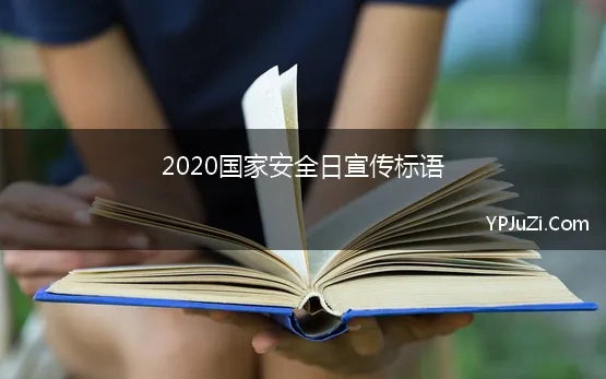 国家安全日标语2022