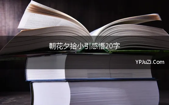 朝花夕拾小引感悟20字(《朝花夕拾》读后感100字)