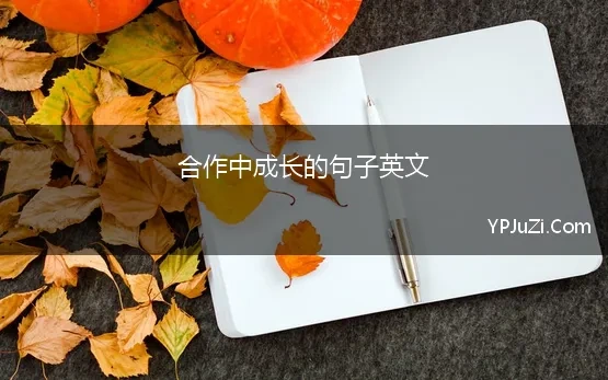 合作中成长的句子英文