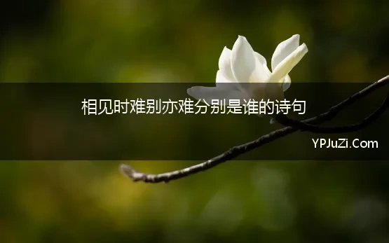 相见时难别亦难分别是谁的诗句 李商隐《无题》 相见时