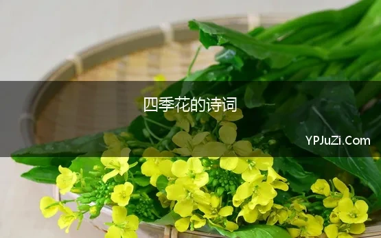 四季花的诗词