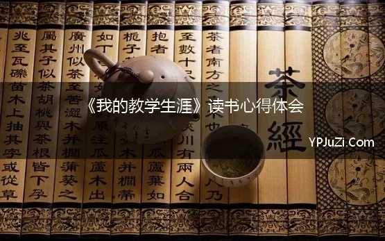 读我的教学生涯心得体会