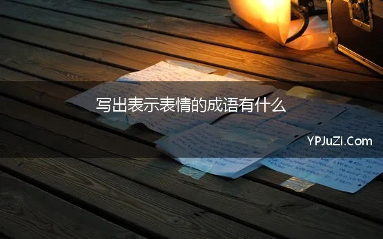 写出表示表情的成语有什么