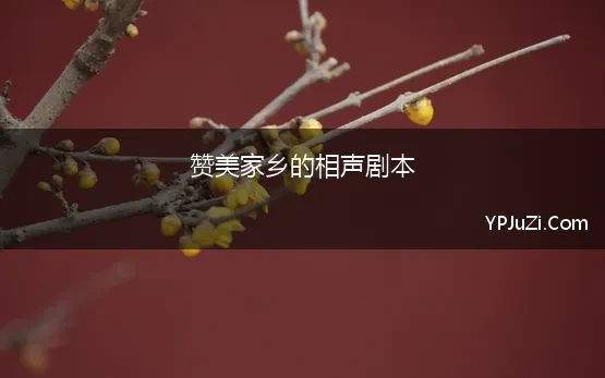 赞美家乡的相声剧本