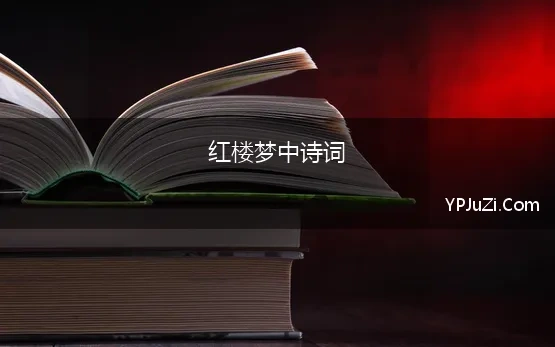 红楼梦中诗词(红楼梦里好的诗句有哪些)