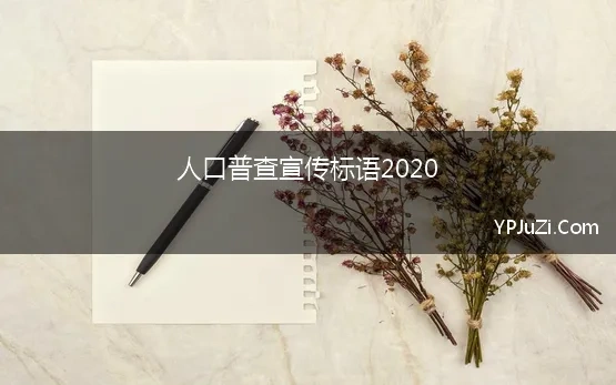 人口普查宣传标语2020