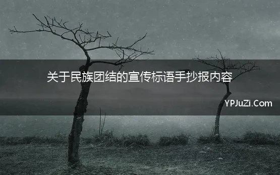 关于民族团结的宣传标语手抄报内容 民族风俗手抄报 民