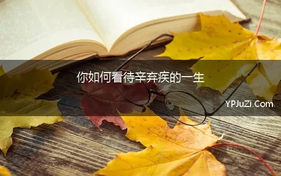 你如何看待辛弃疾的一生 《辛弃疾传》：全面解读辛弃疾