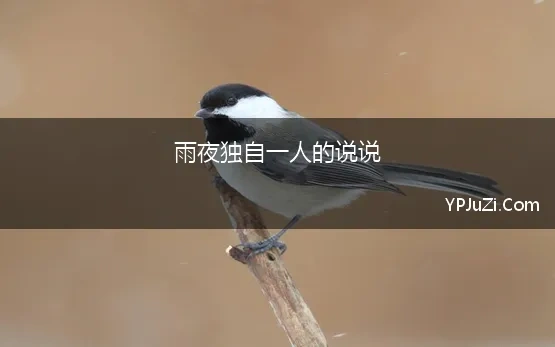 雨夜独自一人的说说