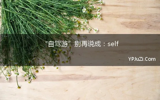 “自驾游”别再说成：self