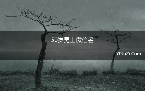 50岁男士微信名(50岁男人微信昵称大方气派的)