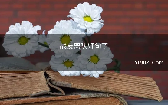 战友离队好句子