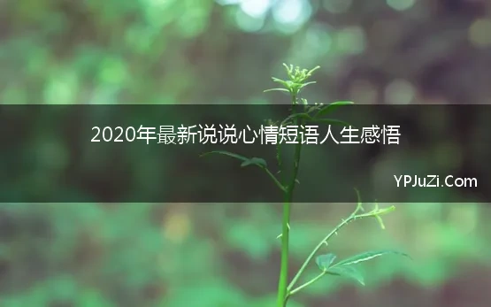 2020年最新说说心情短语人生感悟