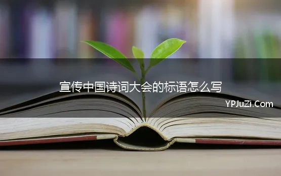 宣传中国诗词大会的标语怎么写 诗入寻常百姓家――《中国诗词大会》走红的密码