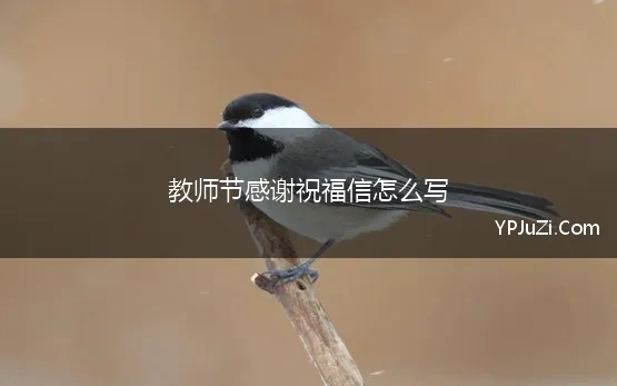 教师节感谢祝福信怎么写