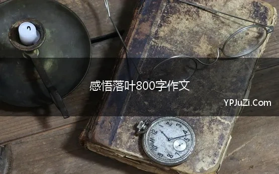 感悟落叶800字作文