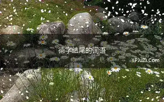 德字结尾的词语