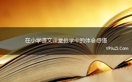 在小学语文课堂教学中的体会感悟 小学语文听课心得体