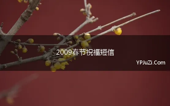 2009春节祝福短信