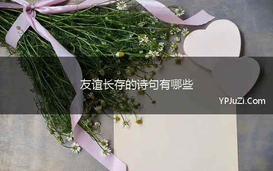 友谊长存的诗句有哪些