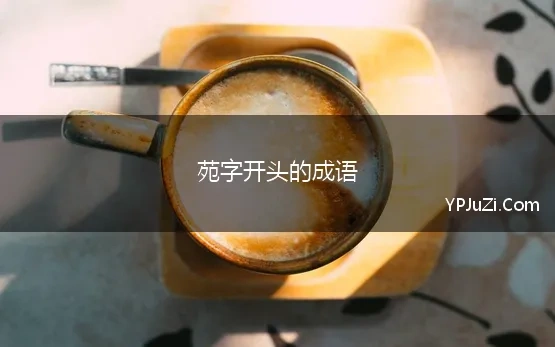 苑字开头的成语