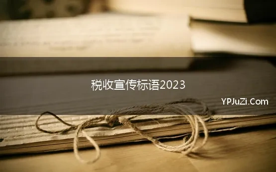 税收宣传标语2023