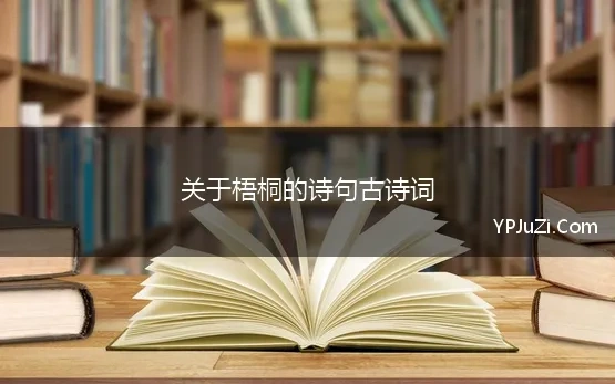 关于梧桐的诗句古诗词 在诗歌中“梧桐”一般是指一种凄凉悲伤的情绪