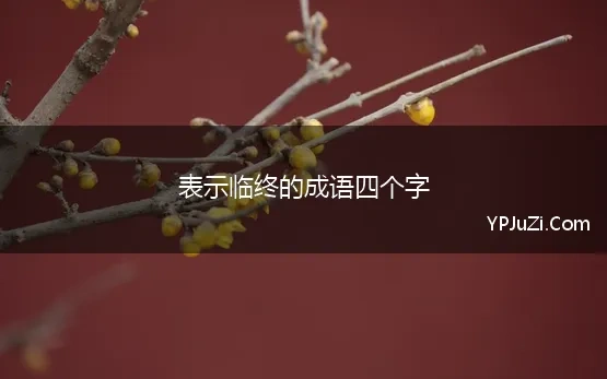 表示临终的成语四个字