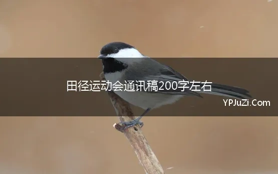 田径运动会通讯稿200字左右