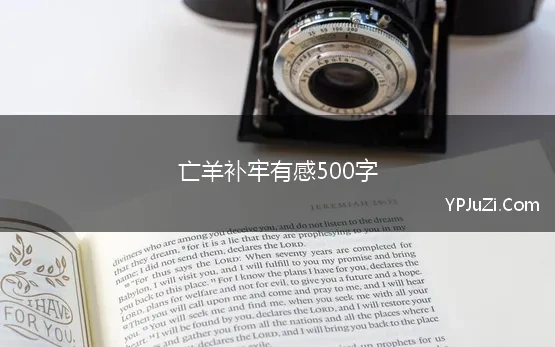 亡羊补牢有感500字 《亡羊补牢》读后感8篇300、400、5