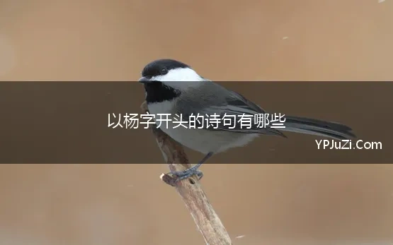 以杨字开头的诗句有哪些(含有“杨”字的诗词)