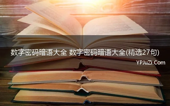 数字密码暗语大全 数字密码暗语大全(精选27句)