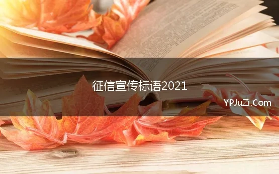 征信宣传标语2021