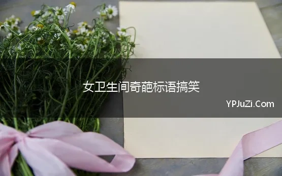 女卫生间奇葩标语搞笑 卫生间的标语 女卫生间幽默搞笑标语