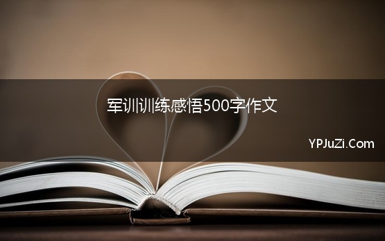 军训训练感悟500字作文 军训感悟500字作文