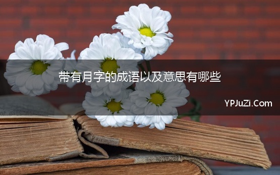 带有月字的成语以及意思有哪些